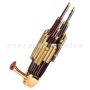 乐之洋笙乐器14簧17簧21簧初学专业扩音紫竹圆笙方笙乐器加键笙