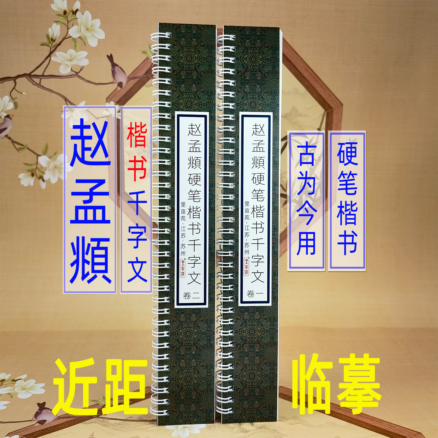 赵孟府楷书字帖硬笔书法临摹字卡赵孟頫千字文硬笔楷书字卡米字格手写硬笔书法字帖成年人钢笔练字近距离字卡