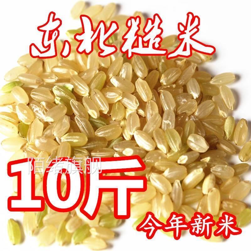 东北糙米新米5斤/10斤玄米农家米粗米健身炒米五谷杂粮包邮