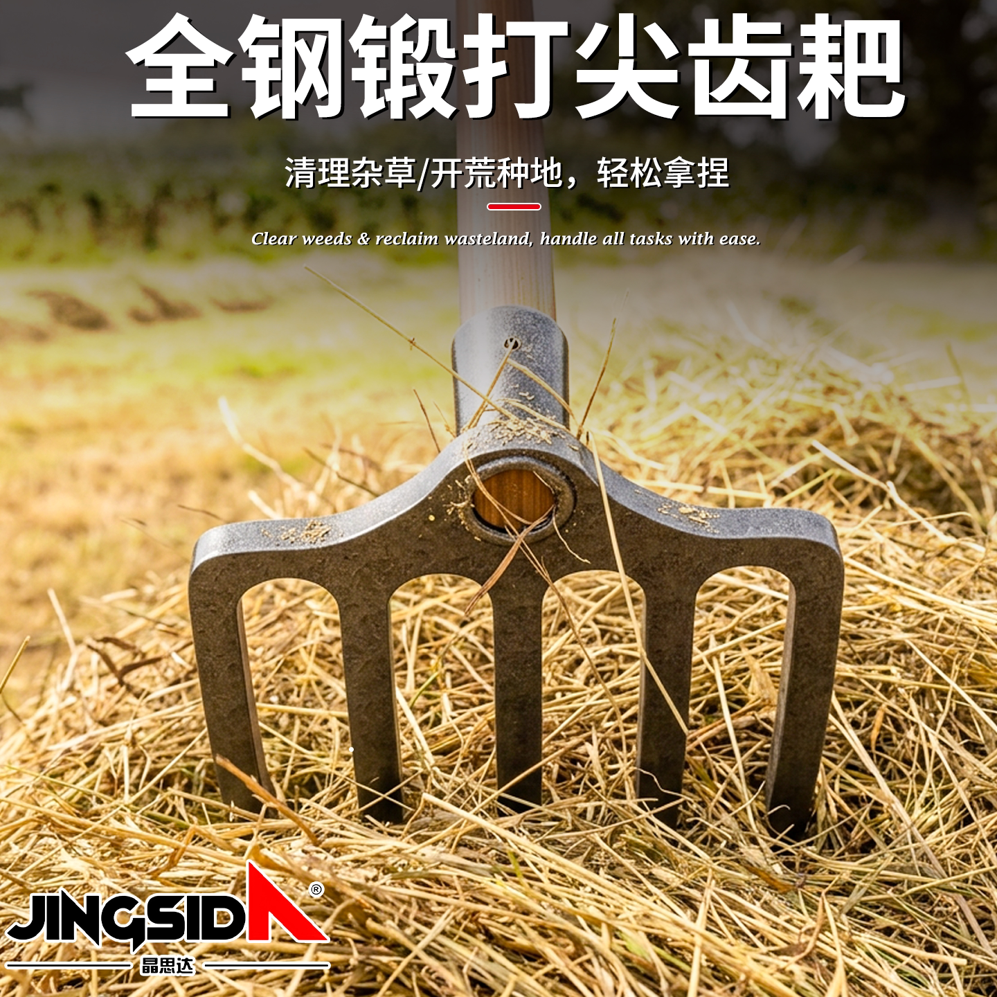 挖地瓜多齿钢耙耙子抓钩二齿图片