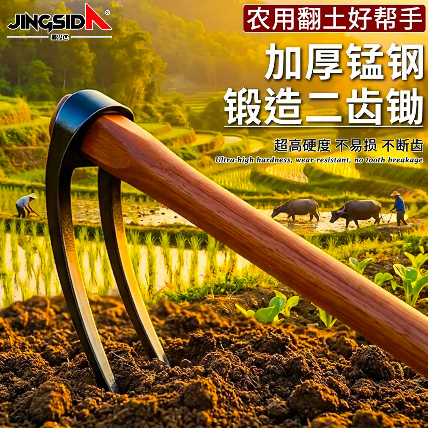 锰钢抓钩二齿耙多功能刨地耙子农图片