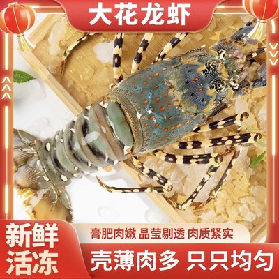 出海的渔民大花龙 速冻龙虾 3.5-4斤/只 活冻大龙虾 冷链直达