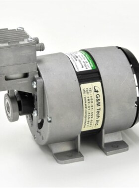 全新韩国G&M小型真空泵20RNS DC12V