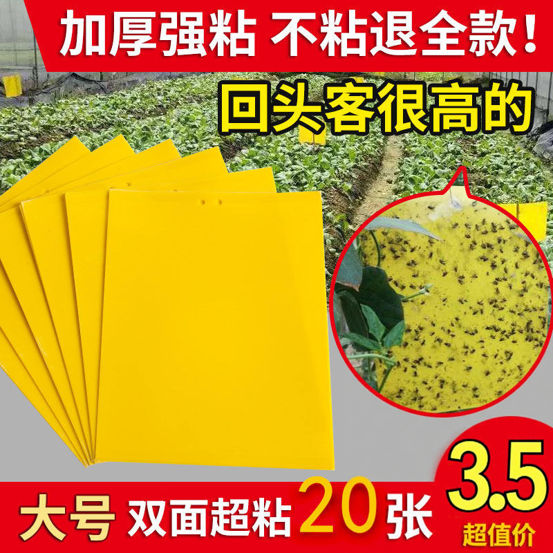 双面粘虫板大棚果树瓜菜园黄板沾小黑飞防虫贴纸蓟马果园诱虫板