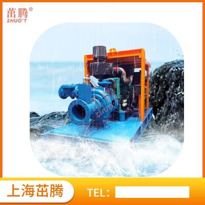 直发茁腾柴油机矿山脱水泵 Solids Handling End Suction Pumps
