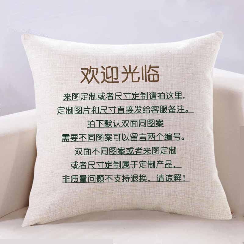 新中式古典荷花客厅抱枕靠垫中国风禅意沙发高端大靠X背枕套含枕