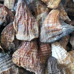 新品野生福建特级笋尖 干货农家自制竹笋无硫磺熏德化黑笋干500克