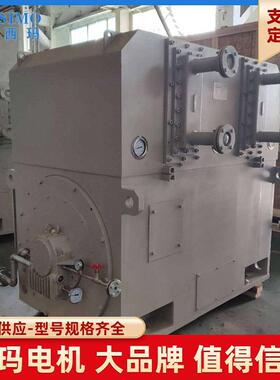 YKS系列YKS5002-6 800KW 380V低压大功率电机 泰富西玛 双轴伸