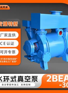 冀真2BE303水环式真空泵造纸厂工业抽真空设备机组液环泵博远泵业