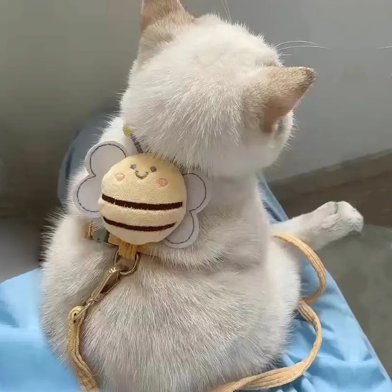 猫咪狗狗牵引绳背心式遛狗牵引绳外出遛猫绳宠物胸背带可调节