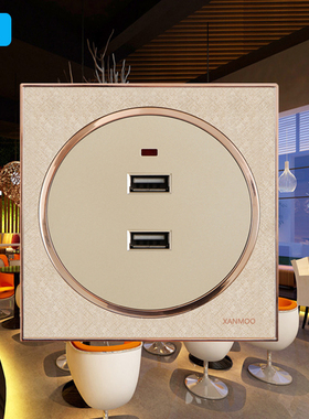 86香槟金船房车usb插座低压12V24VUSB插座36V二孔USB充电插座面板