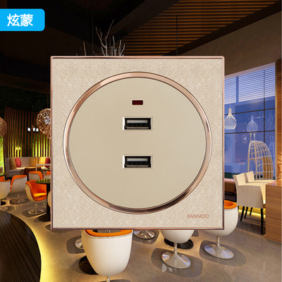 86香槟金船房车usb插座低压12V24VUSB插座36V二孔USB充电插座面板