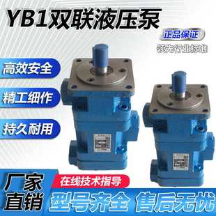 YB1 25液压齿轮油泵 双联叶片泵YB1