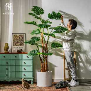 植物阔叶龟背竹假树盆栽室内客厅绿植装饰造景摆件客厅装饰绿植