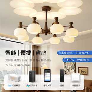 中古风客厅吊灯美式复古大气主灯2026新款柿子led具全屋套餐组合