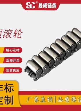 晟成专业生产厂家热处理高精度双节距双排顶滚轮输送链条20402LR