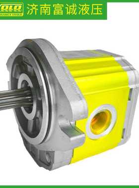 意大利VIVOLO齿轮泵XV2P-D/CX2P5952BLMA平键轴Vivoil液压泵惠供