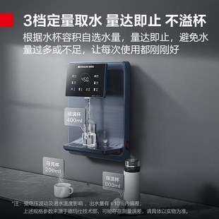 德玛仕商用管线机家用净水器伴侣即热即饮触控饮水机壁挂式