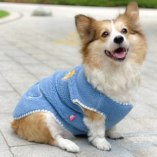 柯基泰迪中小型幼犬马甲款 宠物狗狗衣服秋冬保暖加厚网红2022新款