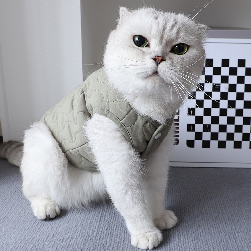 猫咪衣服冬季保暖无袖两脚衣英短加绒防着凉棉背心外出可牵引棉服