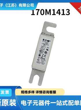 170M6929 170M6930 170M6936 170M6938原包快速熔断器 熔丝