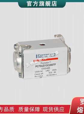 熔断器保险丝DIIFK50V25 P217639/ DIIIFK50V35 J218669全新现货