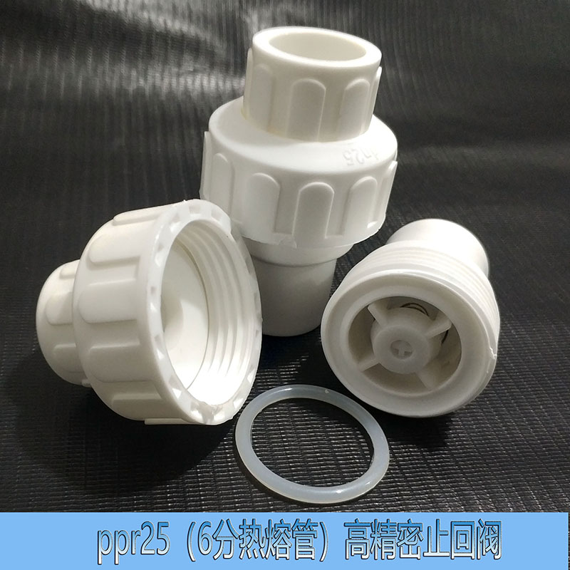 PPR止回阀热熔活接精密6分25止闭水阀门单向防倒逆流止水管材配件