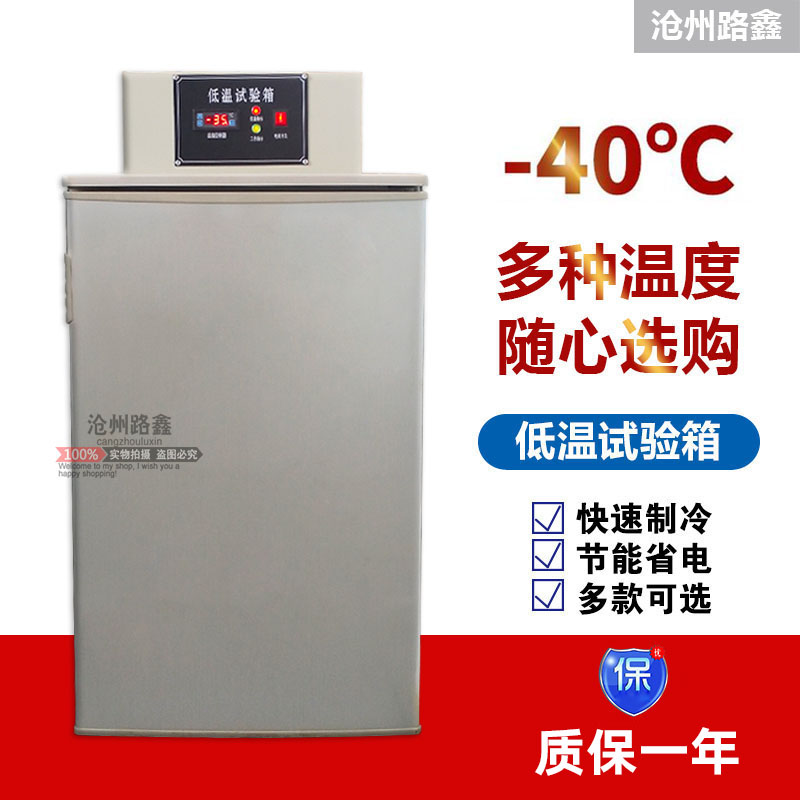 DW-40/-60低温试验箱实验室立式温度可调工业冰箱卧式工业冷冻柜