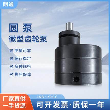 厂家供应圆泵JSB*20CC胶水泵微型齿轮泵高压泵微型泵机床液压泵