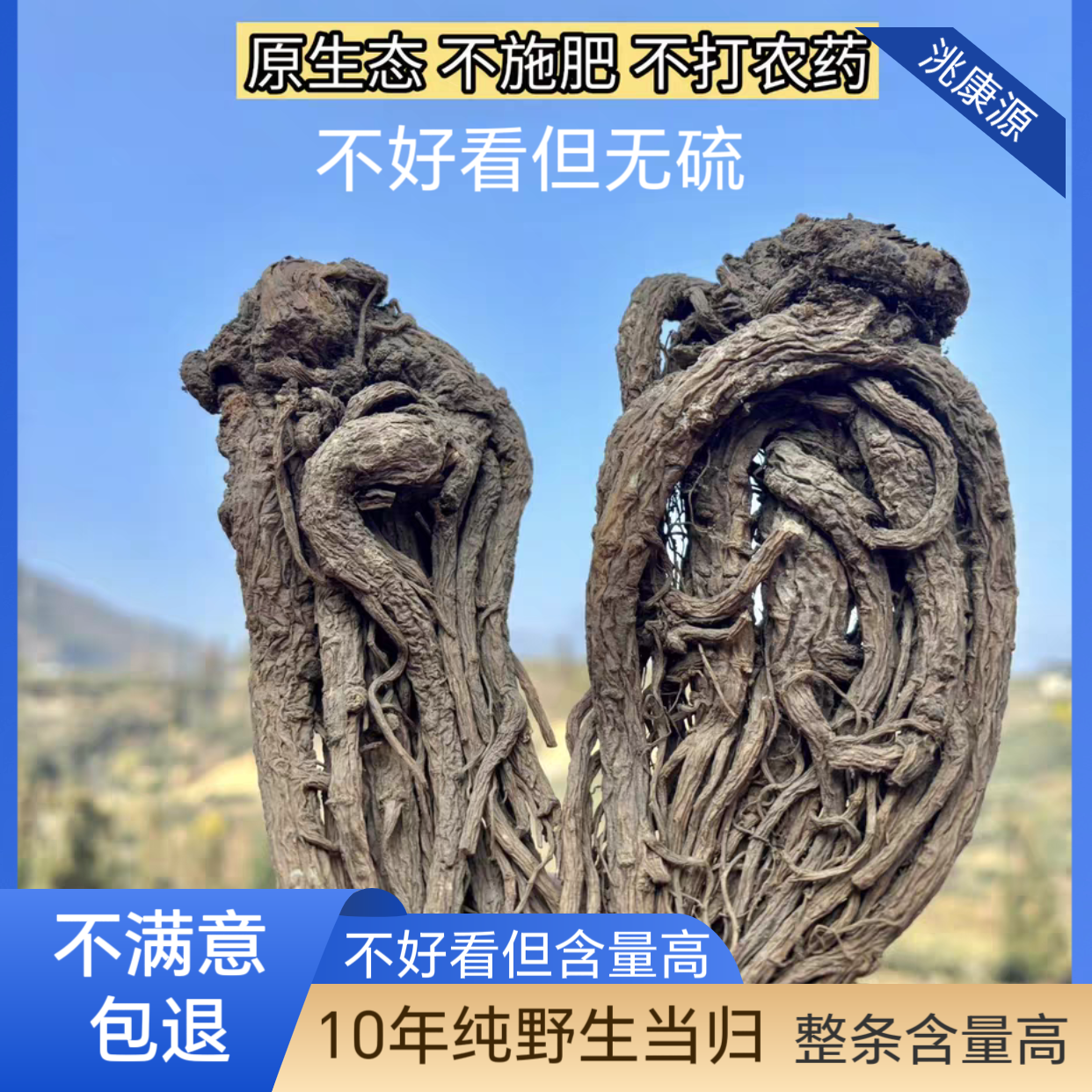 甘肃野生老当归真货岷县正品正宗特大无硫整枝整条干货煲汤喝药材
