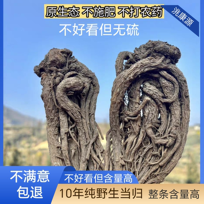 甘肃野生老当归真货岷县正品正宗特大无硫整枝整条干货煲汤喝药材