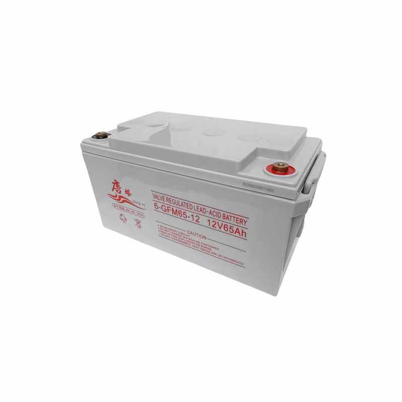 唐塔免维护铅酸蓄电池 6-GFM65-12 12V65AH EPS/UPS直流屏电源用