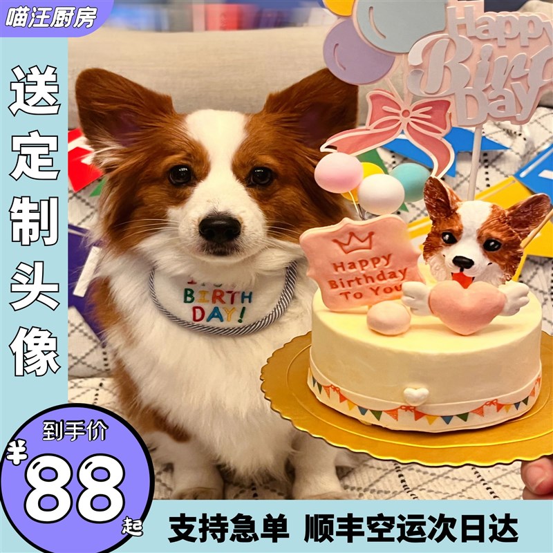狗猫咪生日宠物蛋糕三文鱼鸡肉纯肉送头像 泰迪柯基比熊喵汪厨房