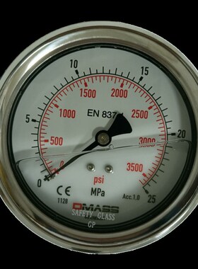 压力表DMASS德玛仕EN837-1德国MBB10B-250-1 100盘 径向25MPA