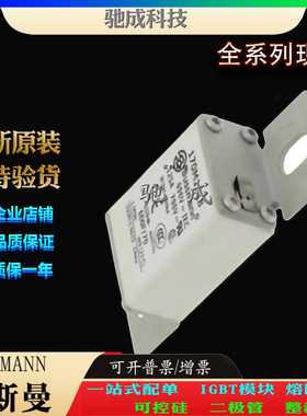 巴斯曼170M1484 170M1485 170M1487 加工制作零售  紧凑熔断器