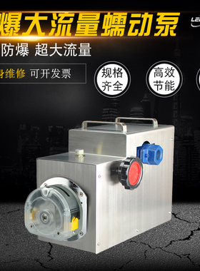 制剂灌装防爆蠕动泵FB600型工业大流量蠕动泵制药恒流泵