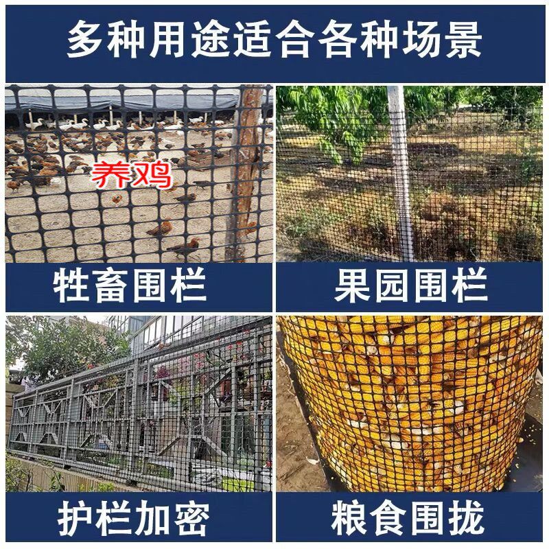 果园护栏网隔离围网栅栏塑料养殖围栏网昌大防护网格圈玉米网