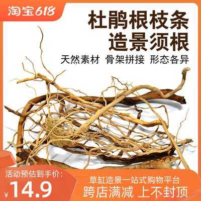 杜鹃根枝条须根沉木细枝草缸微景观水陆雨林缸造景木拼接骨架胶