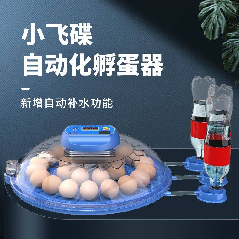 小飞碟孵化器小型智能全自动孵蛋器家用芦丁小鸡孵化机鹦鹉孵化箱,玩具/童车/益智/积木/模型,毛绒/玩偶/公仔/布艺类玩具,淘宝优惠券,粉丝福利购,淘宝优惠卷