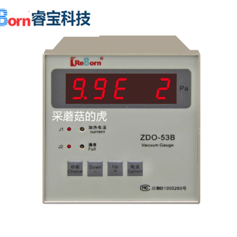 ZDO-53B 睿宝热偶真空计 规管ZJ-54D RBY-105/355压阻变送器ZJ-2Y