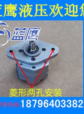 BB-B10 B6 B4 B16 B20 B25 BB-B32N摆线齿轮油泵东高菱形安装JZ R