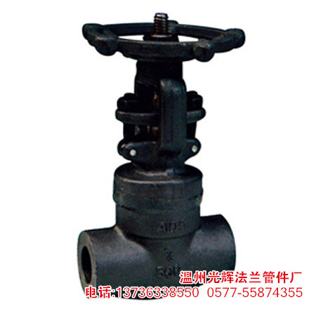 304蒸汽新款上市不锈钢材质阀门美标锻钢丝扣截止阀螺纹11H800