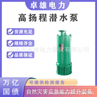 用全扬程无 万亿国债切割式 污水泵 隔爆型 大流量污水处理泵BQS矿