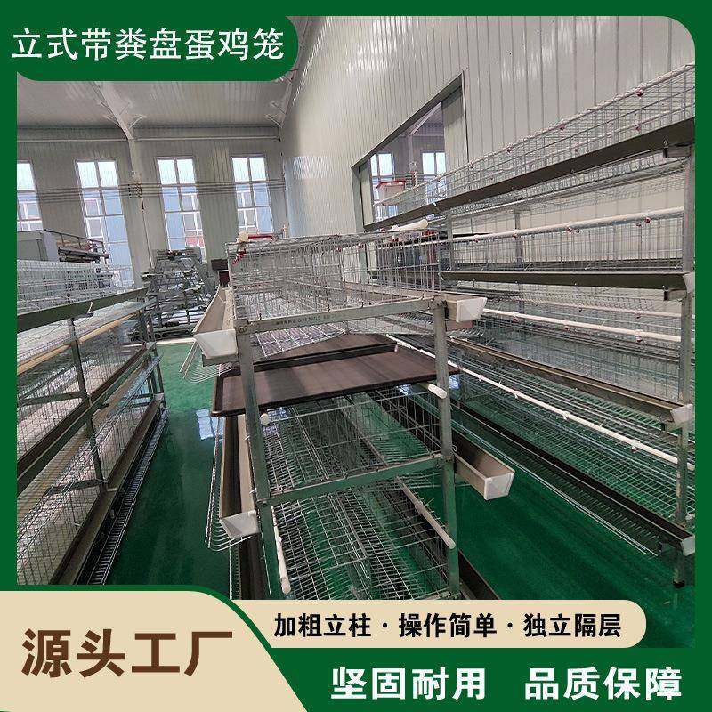 立式带粪盘蛋鸡笼鸡笼子阶梯式蛋鸡笼养鸡设备养殖鸡笼厂家供应,农机/农具/农膜,农用防护器具,淘宝优惠券,粉丝福利购,淘宝优惠卷