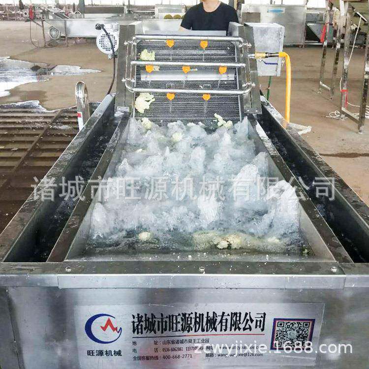 大型洗虾机 小龙虾清洗蒸煮设备 全自动小龙虾清洗机 生产厂家