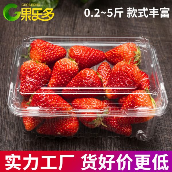果乐多一次性水果盒一斤装透明塑料水果包装盒500g草莓水果打包盒