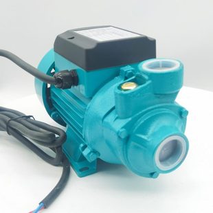 24v48vQB60直流太阳能扬程离心漩涡抽水自吸电清水泵 出口12v