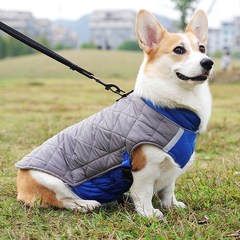 宠物狗狗衣服秋冬冬季中型犬可牵引柯基泰迪2024新款保暖马甲冬款