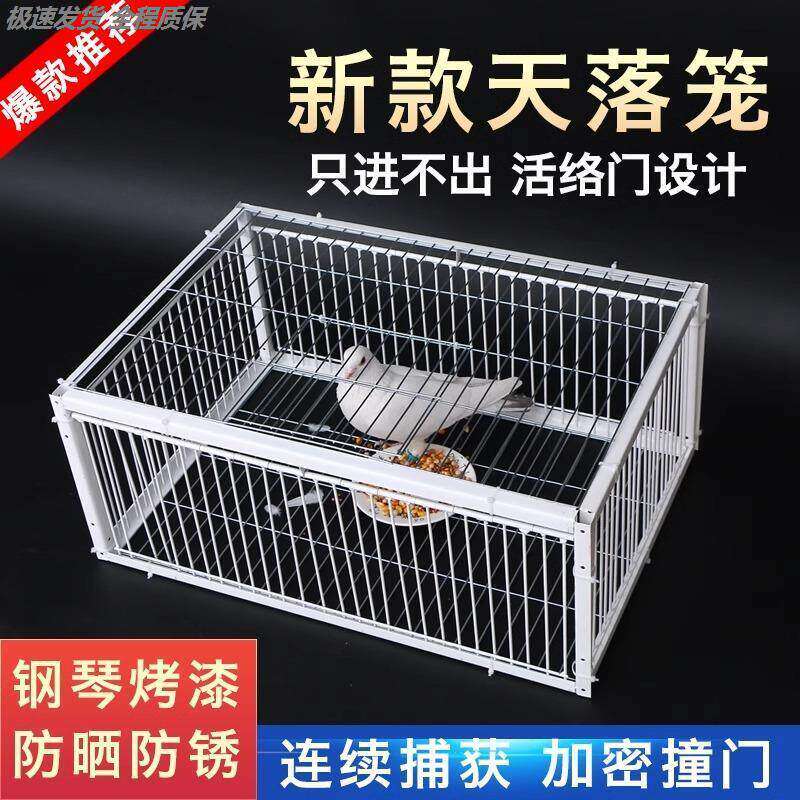 户外捕鸡神器全自动天落