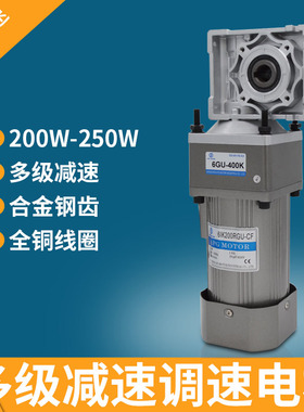 交流220V 双级齿轮减速电机低速200W250W自锁涡轮蜗杆调速